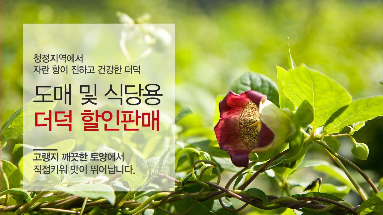 �����̹���02