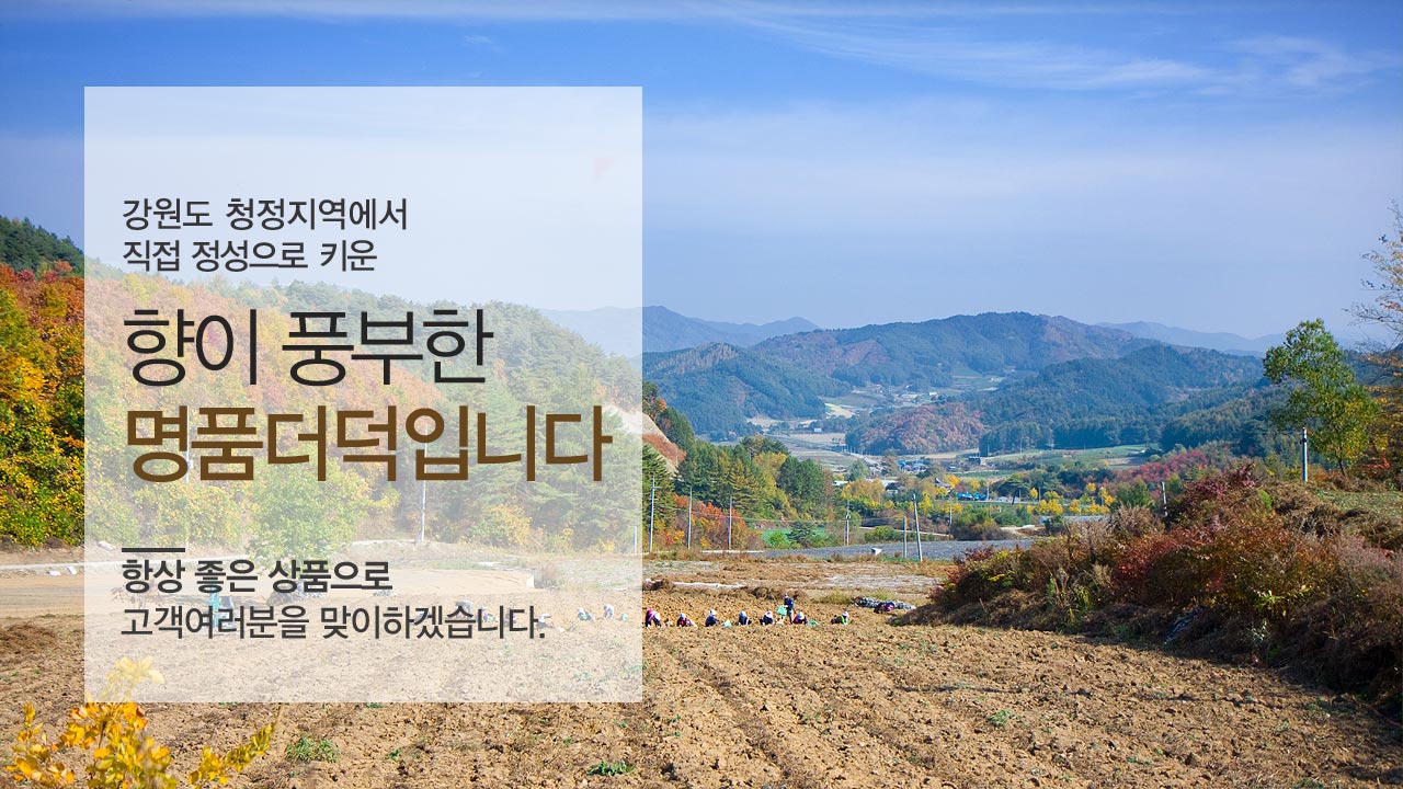 �����̹���03